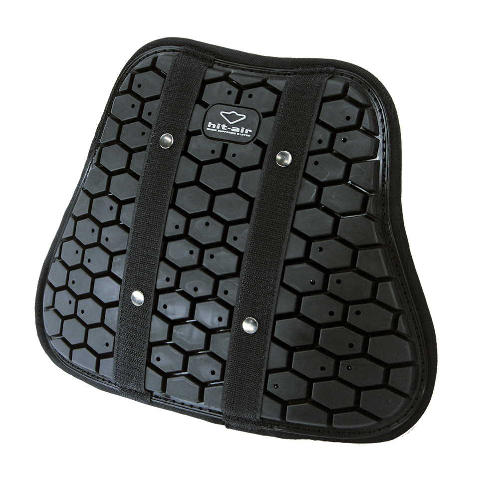 Daisy on the Ohoopee